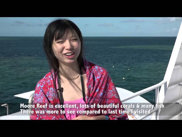 Great Barrier Reef Today - Moore Reef with Sunlover Reef Cruises