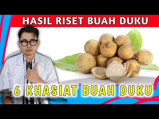 6 Manfaat Buah Duku Serta Kandungan Nutrisi DidalamNya || dr. Andi