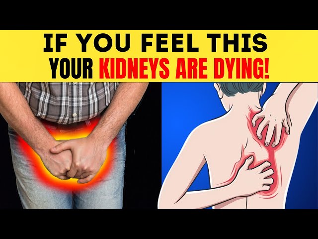 KIDNEYS In DANGER! 11 Silent Signs You're Ignoring