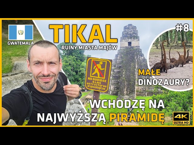 Tikal, Guatemala 🇬🇹 #8 – Explore the Secrets of Tikal – Stunning Mayan Ruins in the Jungle! 🌎🦜