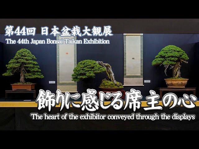 The 44th Japan Bonsai Taikan Exhibition-The Heart of the Exhibitor as Seen in the Special Exhibits-