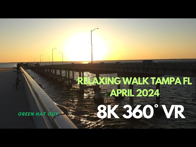 Relaxing Walk | 360°| VR | Tampa Florida 2024 | Season 1 EP 1