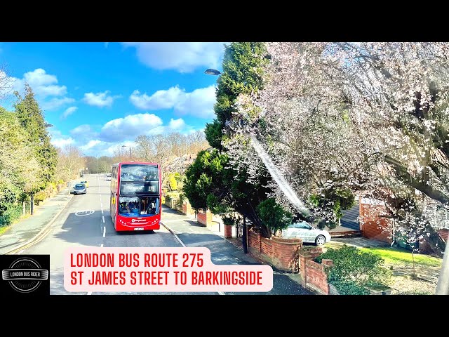 Experience Early Spring in Essex 🌸 Blooming Trees and lots of expensive houses aboard bus 275