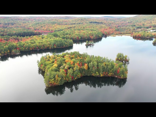 Drone Footage Nature Forest - No Copyright Background Video - No Sound No Music - Royalty Free Stock