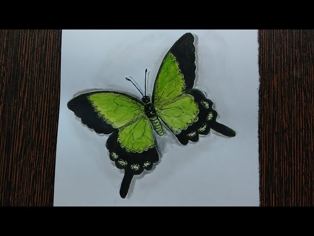 Watercolourpainting  | for beginners | Butterfly | #painting #easypainting #butterfly #watercolor