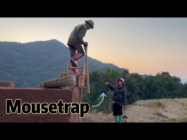 Building a New Life Episode 13 | Mousetrap and Continue Building a House