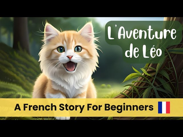 Learn French With Short Stories For Beginners (A1-A2 Level)