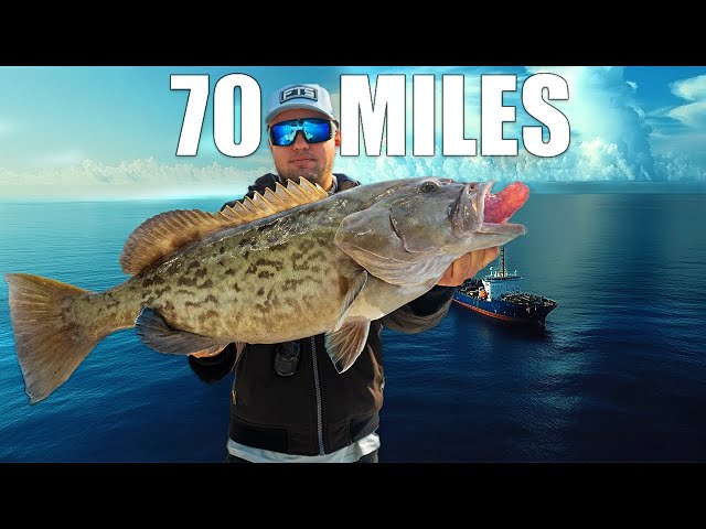 Fishing 70 Miles Offshore In The Gulf Of America: In My 23 Foot Boat!