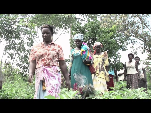 Women's rights to forests and trees in Uganda