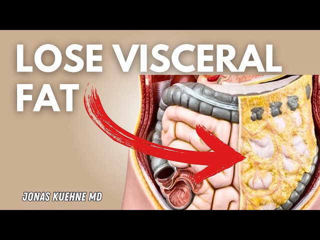 How To Lose Visceral Belly Fat - 5 Proven Strategies