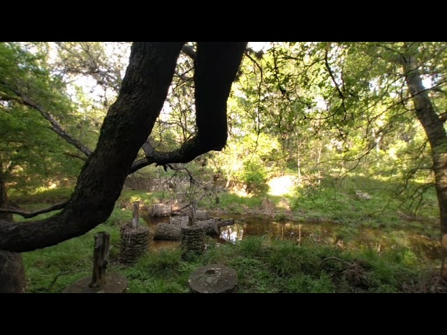 On a broken bridge