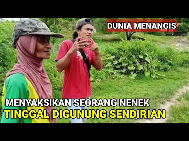 LAGI VIRAL❗Seluruh dunia menangis menyaksikan nenek tinggal digunung sendirian.