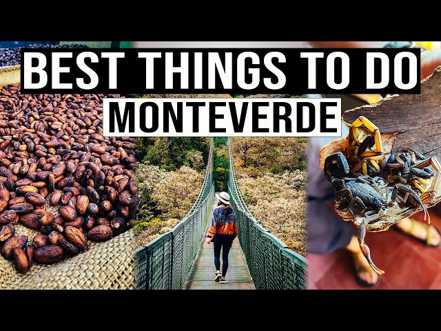 BEST Things to Do in Monteverde, Costa Rica (and how much they cost!) | 2024 Travel Guide