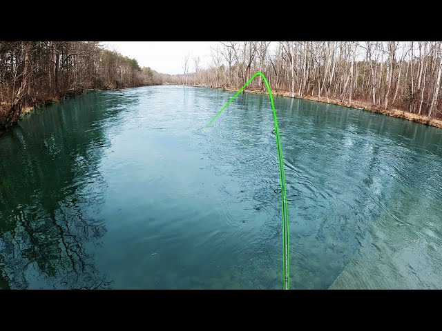 I hook an unexpected fish while hiking (South Holston River)