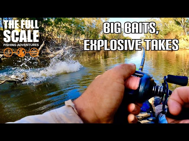 Big Baits, Explosive Takes | The Full Scale