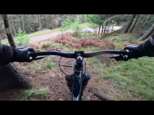 Innerleithen MTB trails  30/12/24