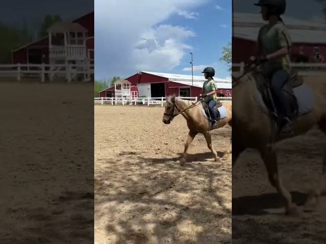 Video from my lesson! #pony