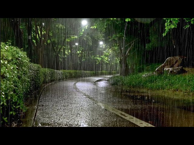 Cool Rain in the Night Park helps us Relax, Comfortable. Healing Rain Sounds, Overcoming Insomnia