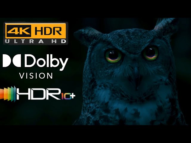 Sound of Light: OLED Test Video | 4K60fps HDR10+ | Dolby Vision |