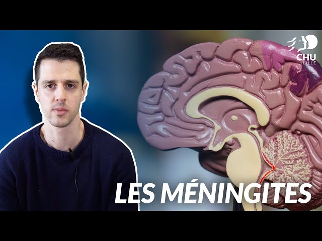 Les Méningites : C'est quoi ?