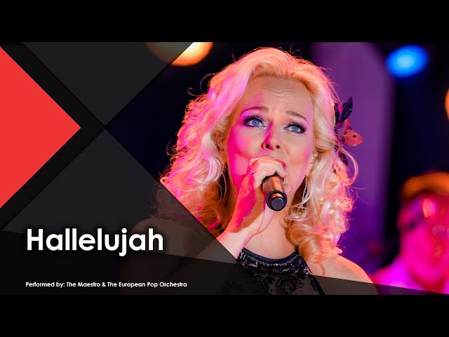 Hallelujah - The Maestro & The European Pop Orchestra (Live Performance Music Video)