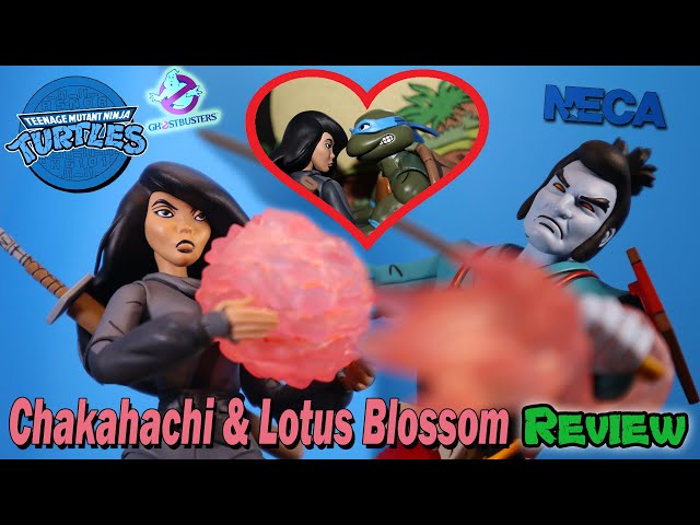 CHAKAHACHI & LOTUS BLOSSOM NECA TMNT Cartoon Action Figure Review - Haulathon 2023