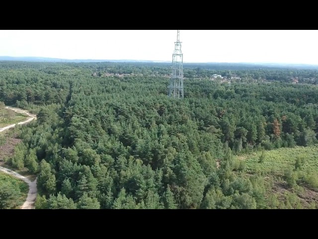 DJI - Camberley - Swinley Forest 2024