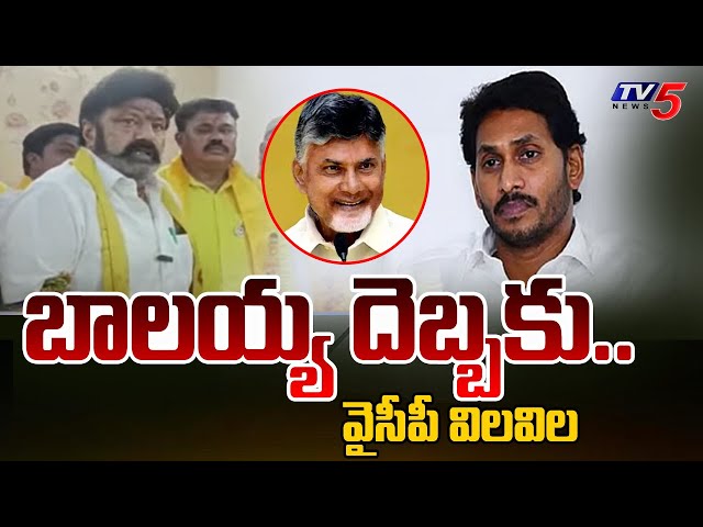 Nandamuri Balakrishna About TDP Victory In Hindupur Municipal Elections | YSRCP | TV5 News