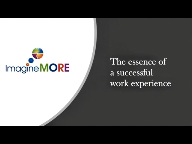 The Essence of a Successful Work Experience