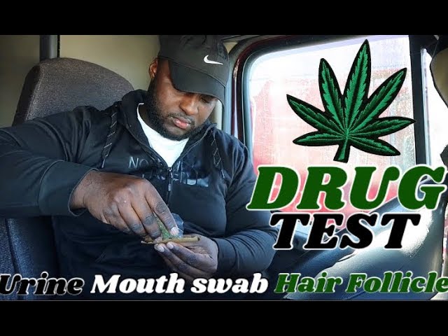 TRUCK DRIVER DRUG TEST 🌿💨| URINE MOUTH SWAB HAIR FOLLICLE |