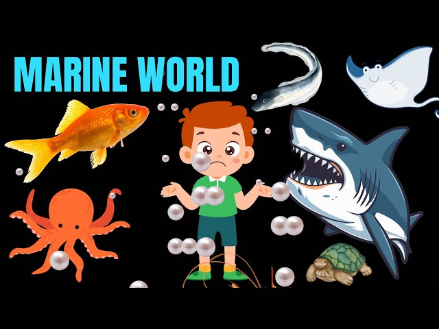 Marine world promos #shorts #feedshorts #aquarium