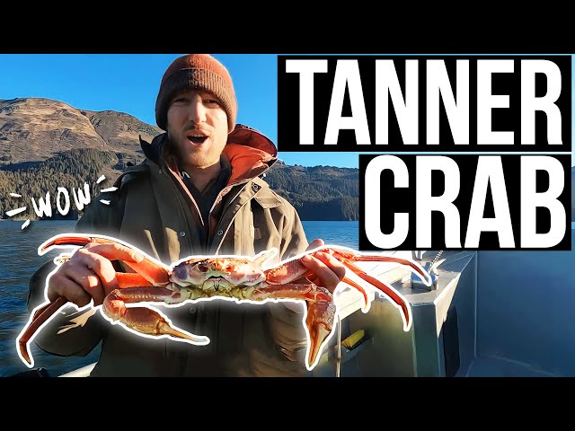 Catching and Cooking Fresh Crab in Alaska | Kilcher Homestead Adventures