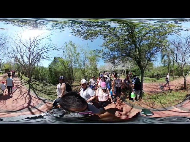 LOS COATÍ AL ATAQUE_MISIONES_video 360°