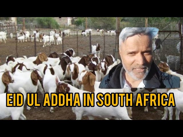 EID-UL-ADHA IN SOUTH AFRICA | QURBANI IN SOUTH AFRICE |EXPLORER ON THE MOVE