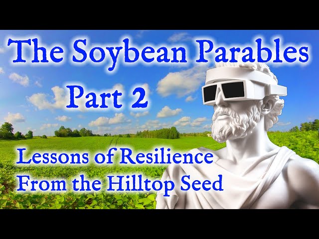 Soybean Parables - Part 2 : Lessons of Resilience from the Hilltop Seed | Virtual Reality / VR180