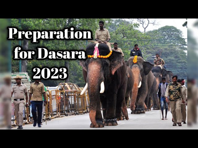 ಮೈಸೂರು ದಸರಾಗೆ ಆನೆಗಳಿಗೆ ಅಭ್ಯಾಸ  || practiceing elephants for Dasara Msyore ||