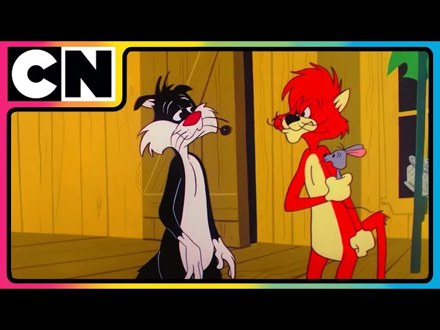 Looney Tunes🐰| Non-stop Fun 🤩| The Looney Goes Haywire! 😝| Compilation | Cartoon for Kids | @cnindia