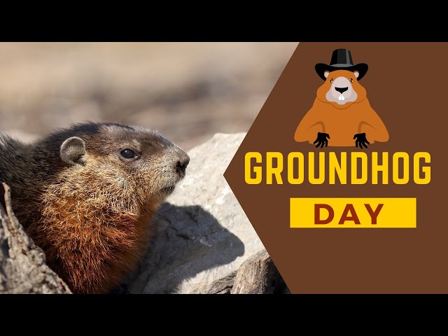 Groundhog Day Facts for Kids | Groundhog Legend