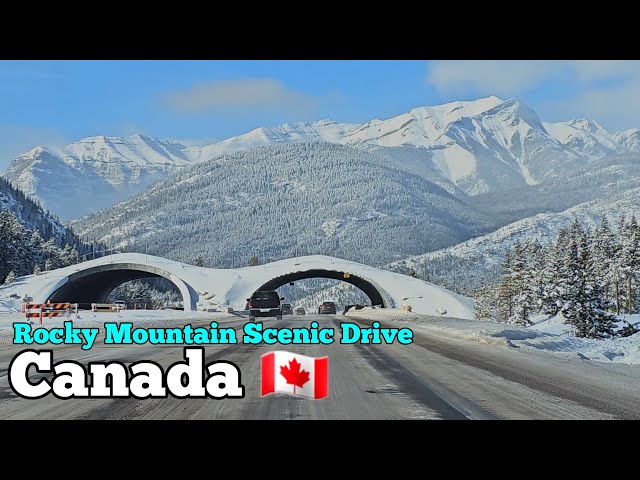 Canada Rocky Mountain Scenic Drive 4k | Banff National Park #canada #alberta #driving