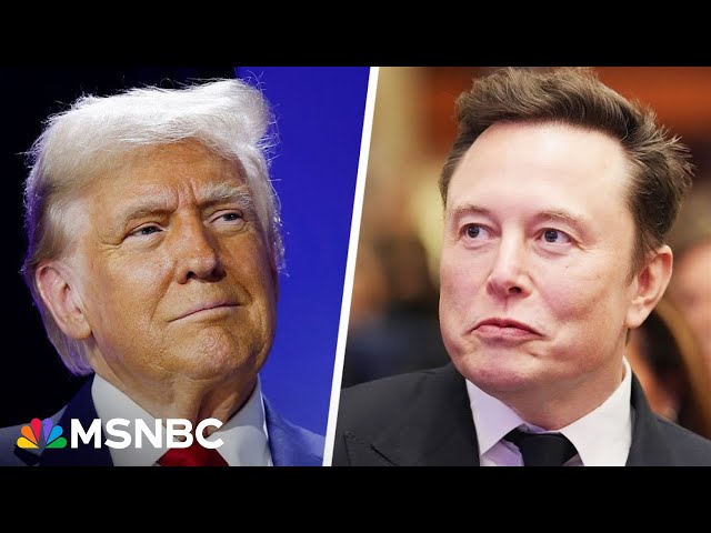 Constitutional crisis? Dems sound alarm on Trump and Musk actions