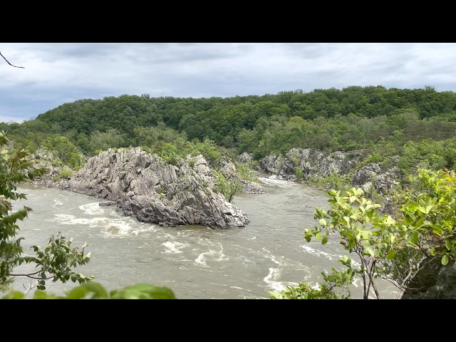 One Hour Relaxing River Sounds and Scenery for Sleep (2021)