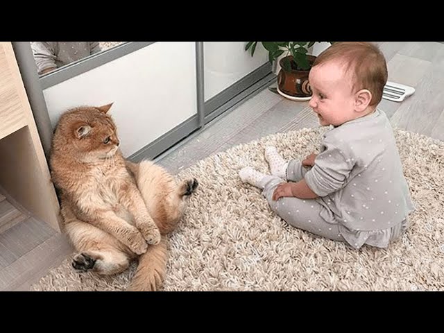 When your cat become a special friend 👶❤️🐱Cute Cats and Human