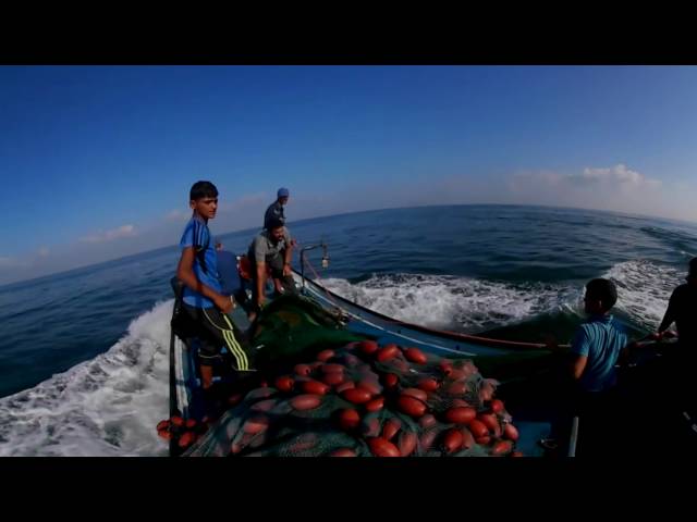 Gaza: Fishermen Struggle to Make a Living (Virtual Reality)