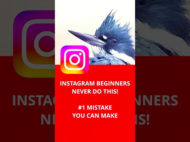 Lesson: THE BIGGEST mistake Instagram Beginners Make. DO NOT DO IT! #instagram #socialmedia  #reels