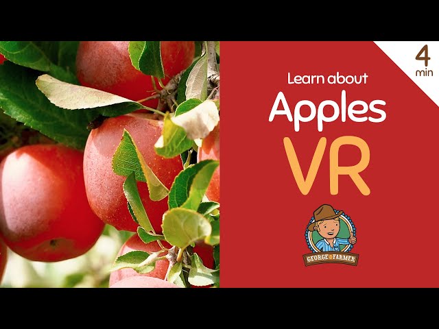 George the Farmer - Apples VR