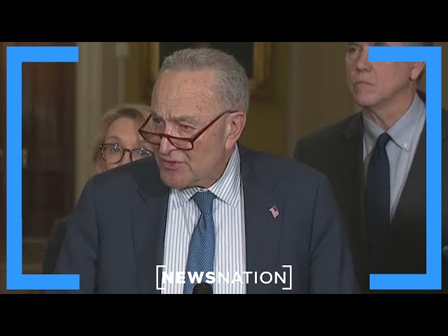 Democrats push back against temporary funding freeze | NewsNation Now