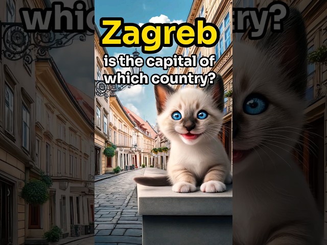 【CAT STORY】 GUESS Zagreb is the capital of which country? #quiz #shorts #subscribe #cat #cute #funny