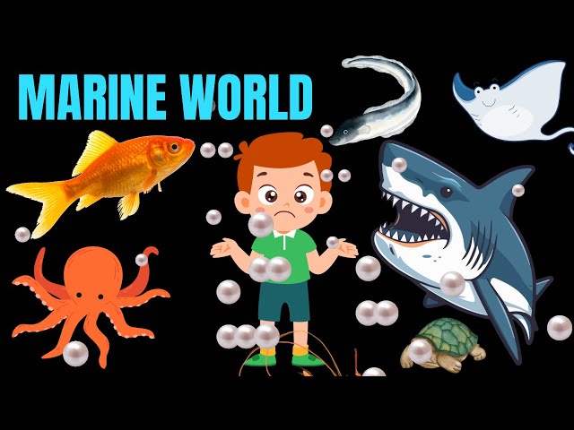 Marine world vlog 4