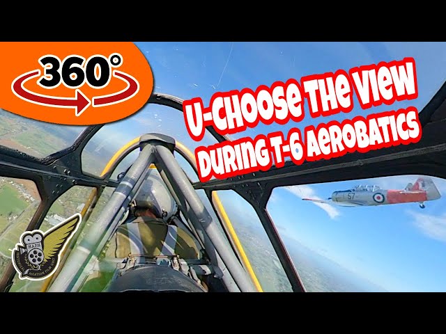 360° VR: WW2 Aeros & Tail Chase - You Choose The View