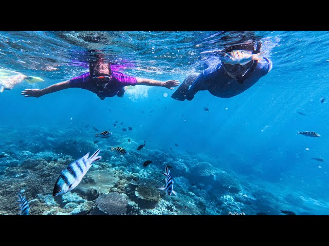 Blue Lagoon Snorkeling, Bali INDONESIA